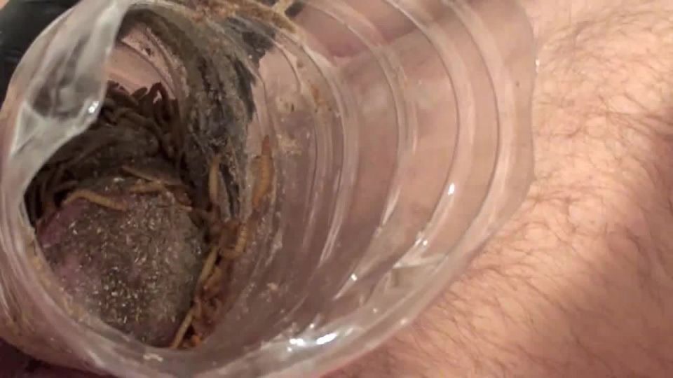 Mistress Dometria Bdsm Clips – Cock Devoured By Worms In Close-u