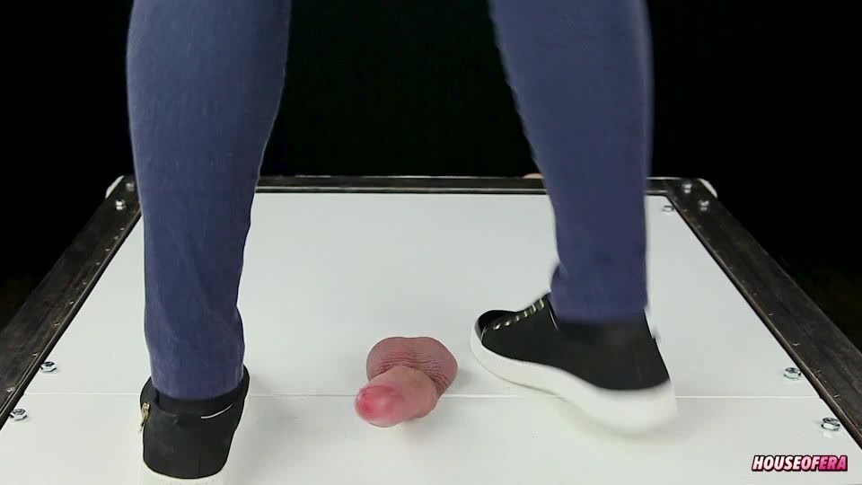 Your сock In Cockbox Trampling By Sneakers In Dance Cbt Pov Of House Of Era