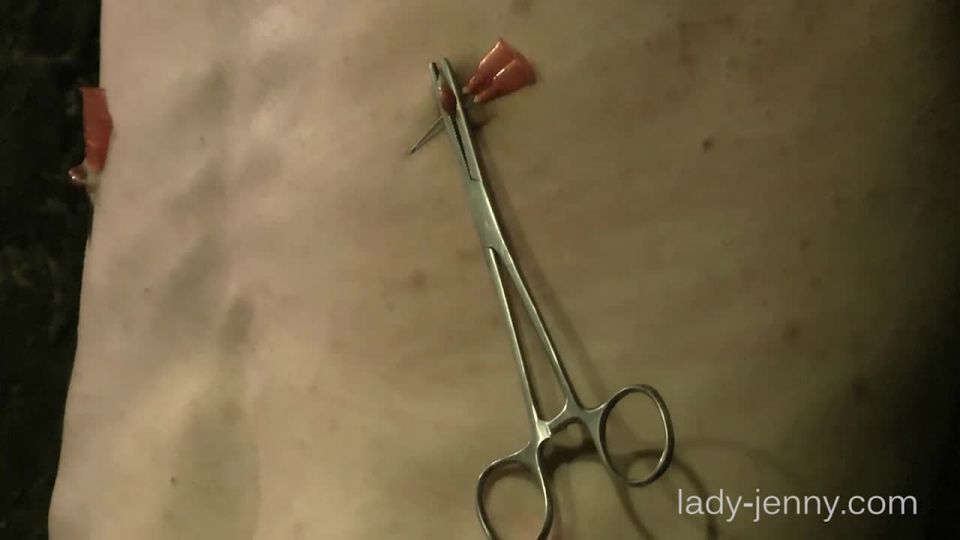Lady Jenny – Whip And Needles And Electro 3-2