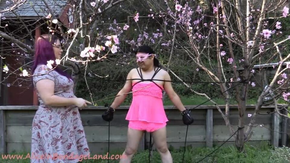 Alice In Sissy Land – Happy Spring – Outdoor Sissy Cbt Moresome – Blossom Blessing