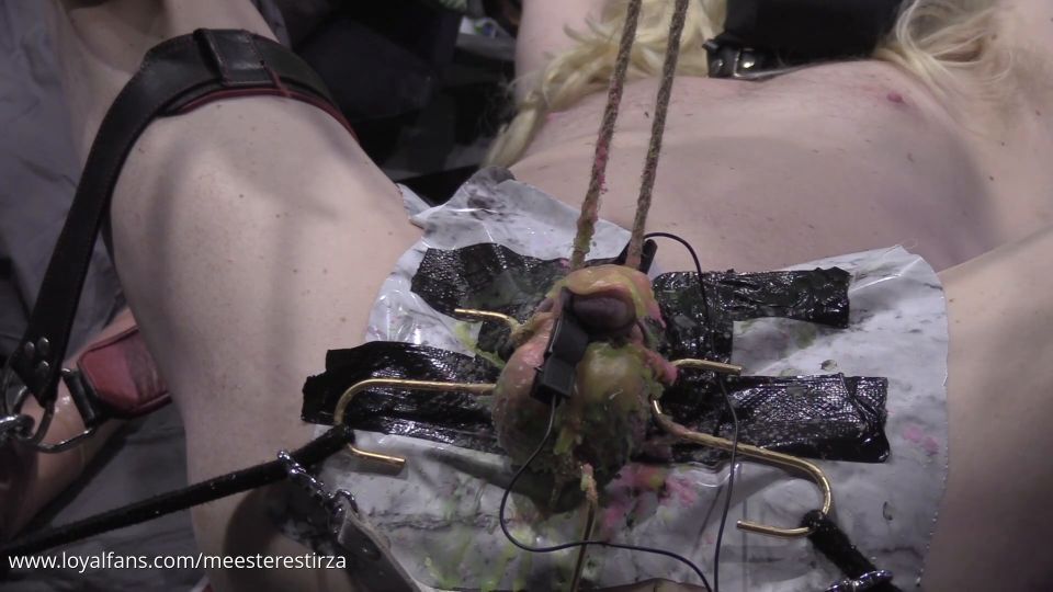 MistressTirza – Cbt Electro Play On This Micro Dick