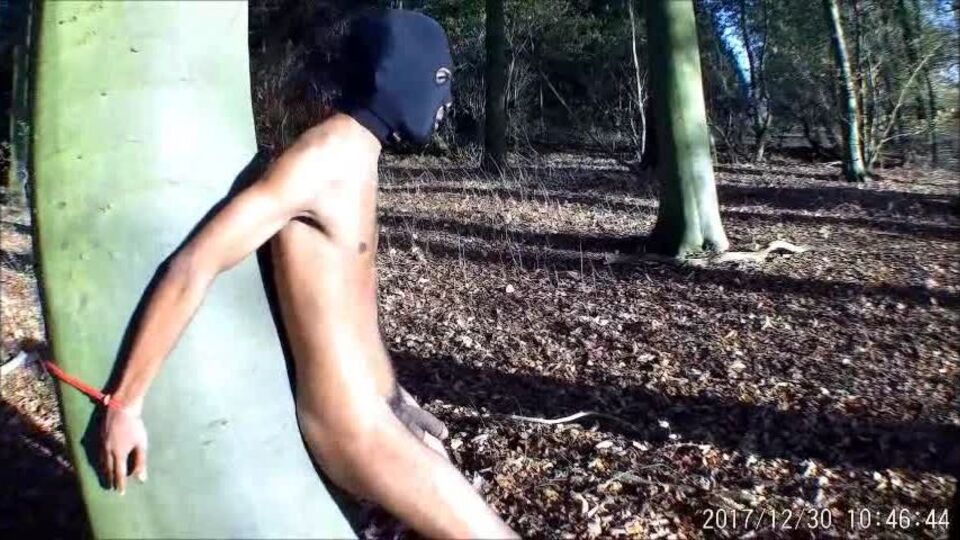 Mistress Ava Von Medisin Mistress Ballbusting – Want Your Balls Squished Like This galery screen 2