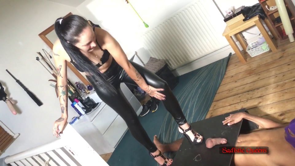 Sadistic Queens – Squishysax – Queenvik – Cockbox Destruction