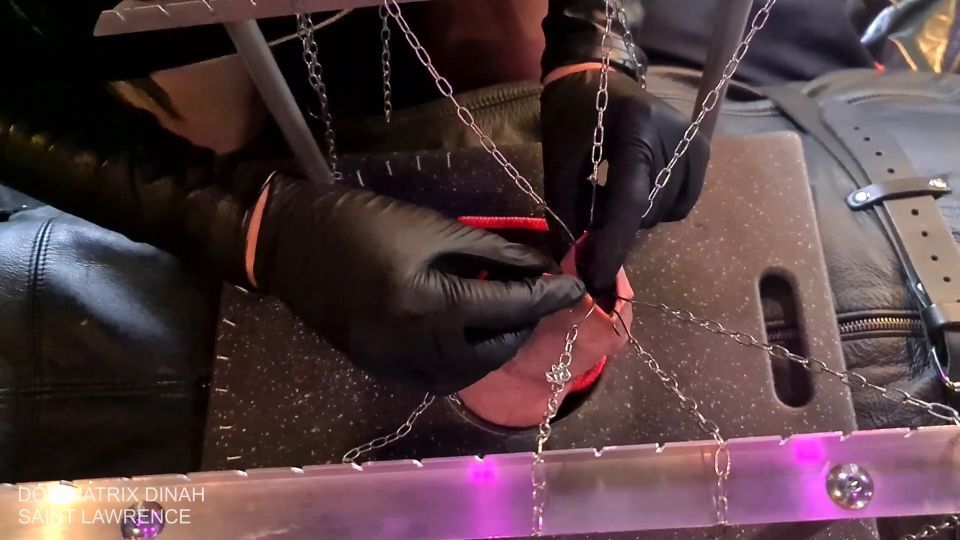 Dominatrix Dinah – Personal – Extreme Cbt – Hooked Cock And Balls